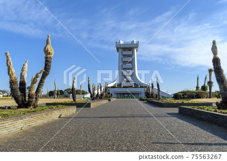 蓮沼海濱公園棕櫚樹和Observation望塔 75563267