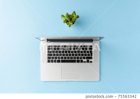 Business background with laptop and small flower on blue table. Office desktop. Top view Business background with laptop and small flower on blue table. Office desktop. Top view 75563342