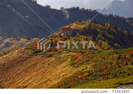 Taneike Sanso in autumn colors seen from Jiigatake 75563407