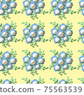Nemophila 75563539