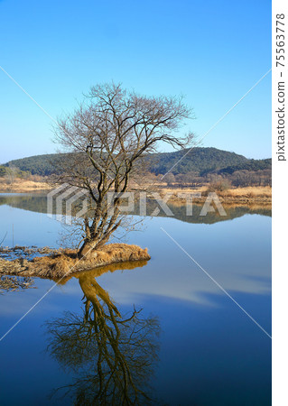 Changnyeong Upo Wetland, Wetland 75563778