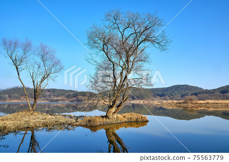 Changnyeong Upo Wetland, Wetland 75563779