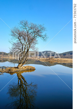 Changnyeong Upo Wetland, Wetland Changnyeong Upo Wetland, Wetland 75563782