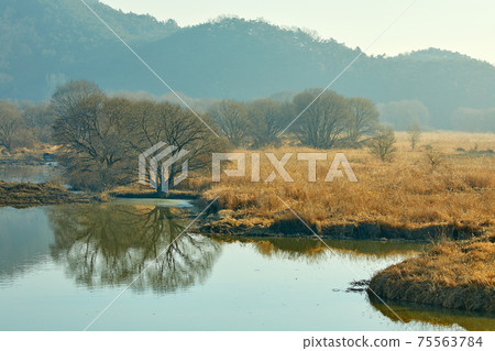 Changnyeong Upo Wetland, Wetland Changnyeong Upo Wetland, Wetland 75563784