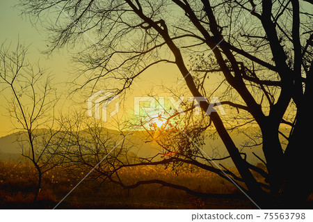 Changnyeong Upo Wetland, Wetland 75563798