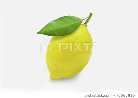 Whole organic lemon on white isolated background with clipping path. Fresh lemon have high vitamin C and delicious sour taste for lemonade or cooking. Citrus or citron fruit concept. Whole organic lemon on white isolated background with clipping path. Fresh lemon have high vitamin C and delicious sour taste for lemonade or cooking. Citrus or citron fruit concept. 75563930