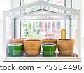 Flowerpots with young seedlings in a greenhouse 75564496