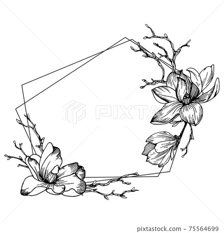 Frame with magnolia flowers, leaves and branches 75564699