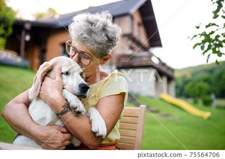 Close-up portrait of senior woman sitting outdoors in garden, pet dog friendship. 75564706