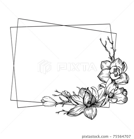 Frame with magnolia flowers, leaves and branches 75564707