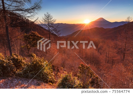 Dawn at Mt. Kushigata, Fujikawa Town, Yamanashi Prefecture Dawn at Mt. Kushigata, Fujikawa Town, Yamanashi Prefecture 75564774