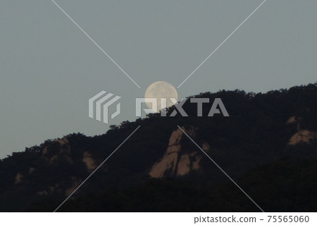 市區城北區內環路國民大學 75565060