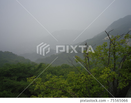 市區城北區內環路國民大學 75565066