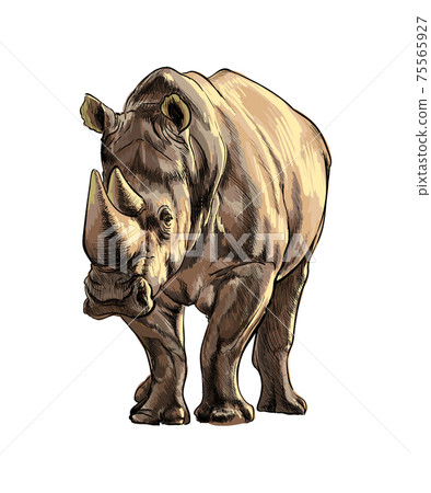 Rhinoceros from a splash of watercolor, colored drawing, realistic 75565927