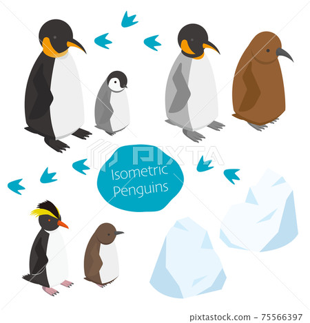 Isometric illustration of cute parent and child penguins 75566397