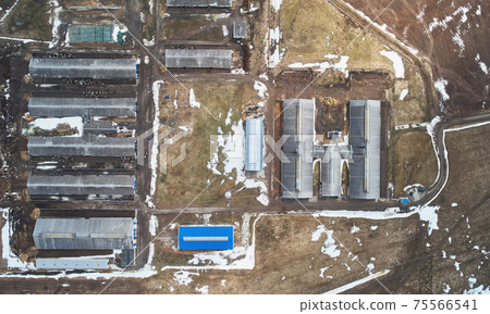 Cow barns in farm Cow barns in farm 75566541