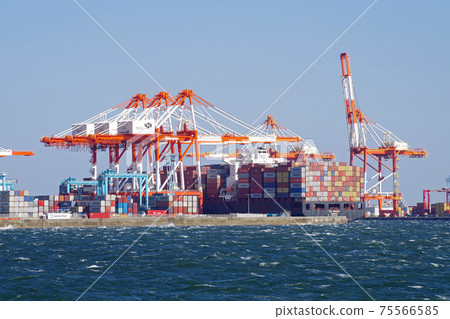 View of the container terminal at Yokohama Honmoku Pier 75566585