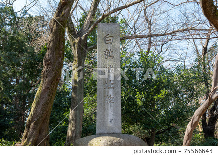 Sa玉縣琦玉市岩月城本丸遺址 Sa玉縣琦玉市岩月城本丸遺址 75566643