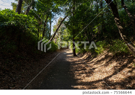 Sa玉縣琦玉市岩月城本丸遺址 75566644