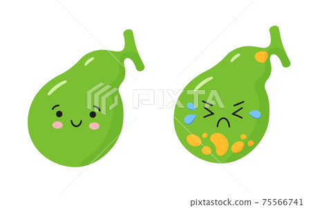 Happy healthy gallbladder and sick sad gallbladder with stones. Characters to illustrate the problem of cholecystitis, gallstone disease. Happy healthy gallbladder and sick sad gallbladder with stones. Characters to illustrate the problem of cholecystitis, gallstone disease. 75566741