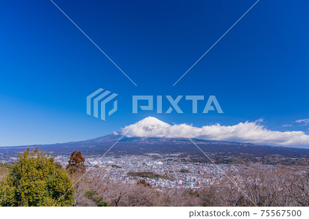 (靜岡縣)從富士宮的白尾山公園眺望的富士山 (靜岡縣)從富士宮的白尾山公園眺望的富士山 75567500