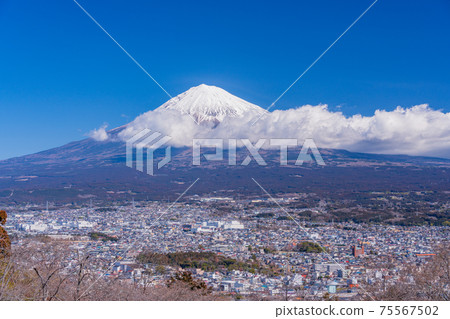 (Shizuoka Prefecture) Mt. Fuji seen from Mt. Shirao Park in Fujinomiya (Shizuoka Prefecture) Mt. Fuji seen from Mt. Shirao Park in Fujinomiya 75567502