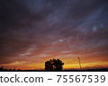 Sunset sky and wood silhouette 75567539