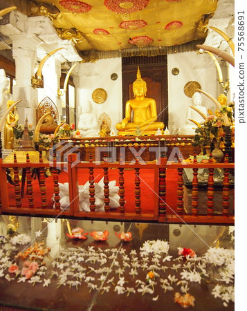 Kandy's Buddha Tooth Temple from a trip to Sri Lanka Kandy's Buddha Tooth Temple from a trip to Sri Lanka 75568691