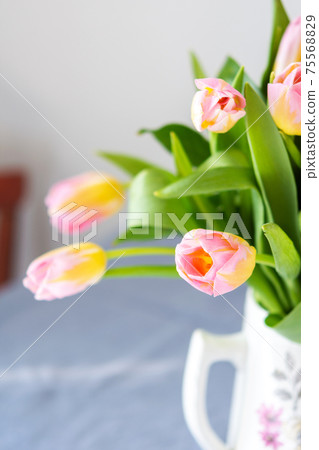 Spring bouquet of pink tulips Spring bouquet of pink tulips 75568829