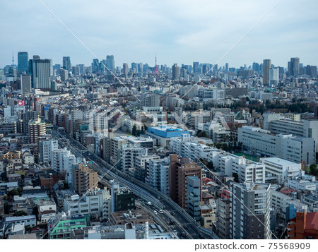 東京新宿 東京新宿 75568909