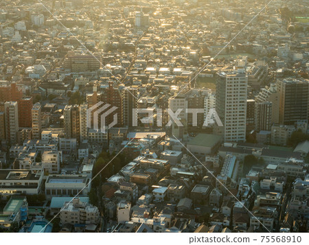 東京新宿 東京新宿 75568910