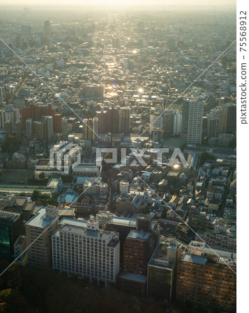Tokyo Shinjuku 75568912