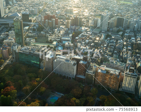 東京新宿 75568913