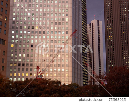 東京新宿 75568915