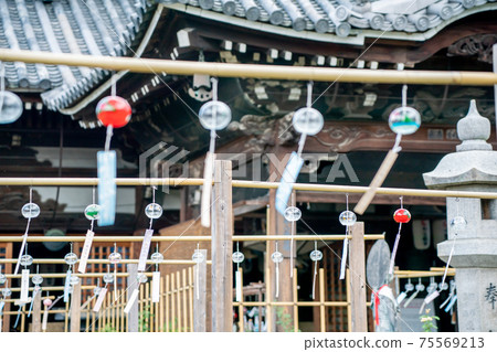A wind chimes festival shot at Ogasa Kannon in Kashihara City, Nara Prefecture 75569213