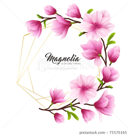 Realistic Magnolia Flower Illustration Realistic Magnolia Flower Illustration 75570165