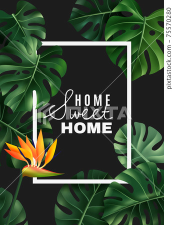 Realistic House Plant Frame Background 75570280