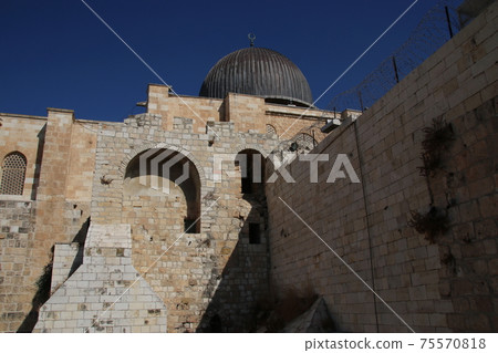 South Wall Archeology Museum South Wall Archeology Museum 75570818