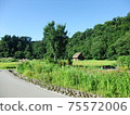 小房子和鄉間小路 75572006