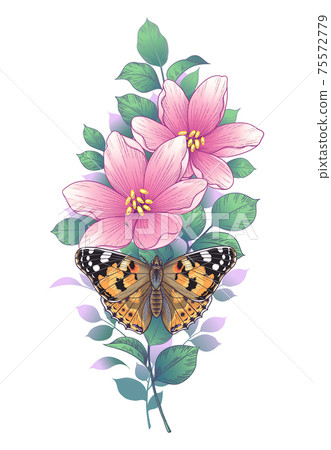 Hand Drawn Pink Flowers and Painted Lady Butterfly Hand Drawn Pink Flowers and Painted Lady Butterfly 75572779