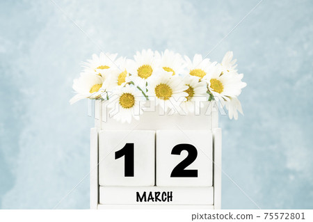 cube calendar for March with daisy flowers over blue with copy space cube calendar for March with daisy flowers over blue with copy space 75572801