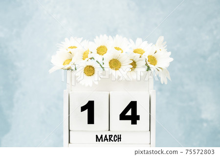 cube calendar for March with daisy flowers over blue with copy space cube calendar for March with daisy flowers over blue with copy space 75572803
