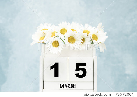 cube calendar for March with daisy flowers over blue with copy space cube calendar for March with daisy flowers over blue with copy space 75572804