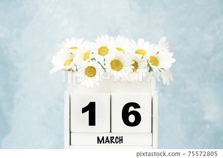cube calendar for March with daisy flowers over blue with copy space cube calendar for March with daisy flowers over blue with copy space 75572805