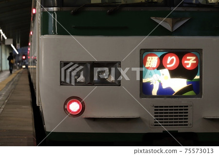 Series 185 Odoriko, which will soon depart from Izukyu-Shimoda Station Series 185 Odoriko, which will soon depart from Izukyu-Shimoda Station 75573013