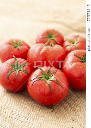 蕃茄 蕃茄 75573345