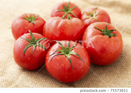 Tomato   75573651
