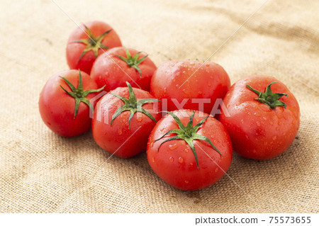 Tomato   75573655