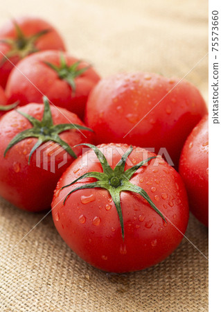 Tomato   75573660