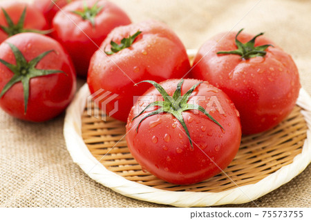 Tomato   75573755